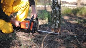 Best Lot and Land Clearing  in Lenape Heights, PA